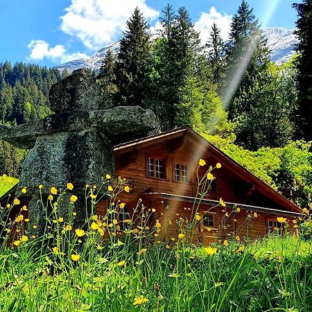 Alpenlodge Willigen Esterno foto