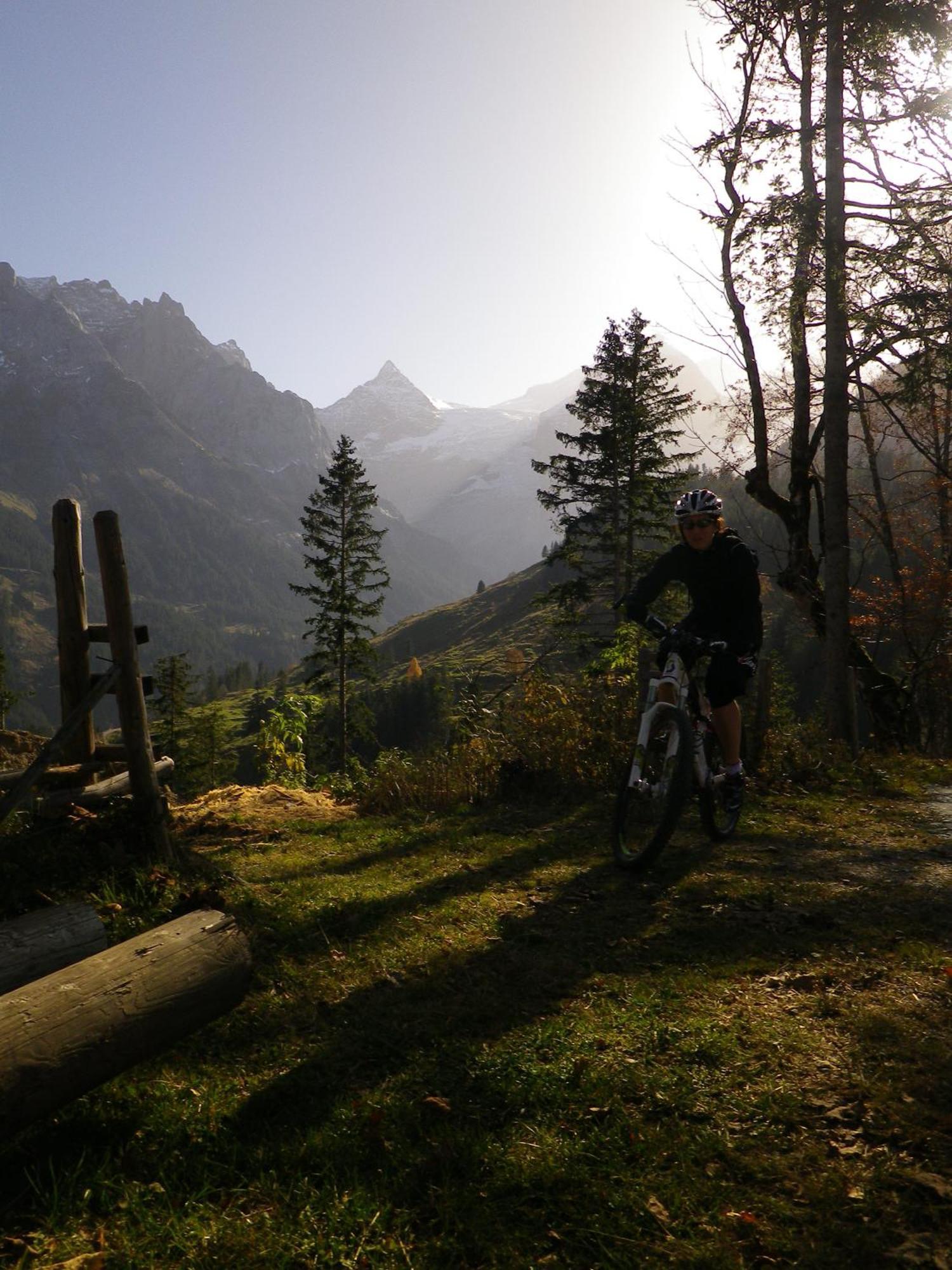 Alpenlodge Willigen Esterno foto