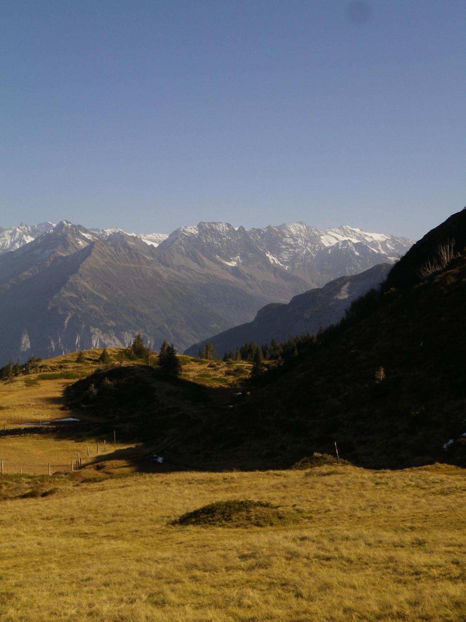 Alpenlodge Willigen Esterno foto