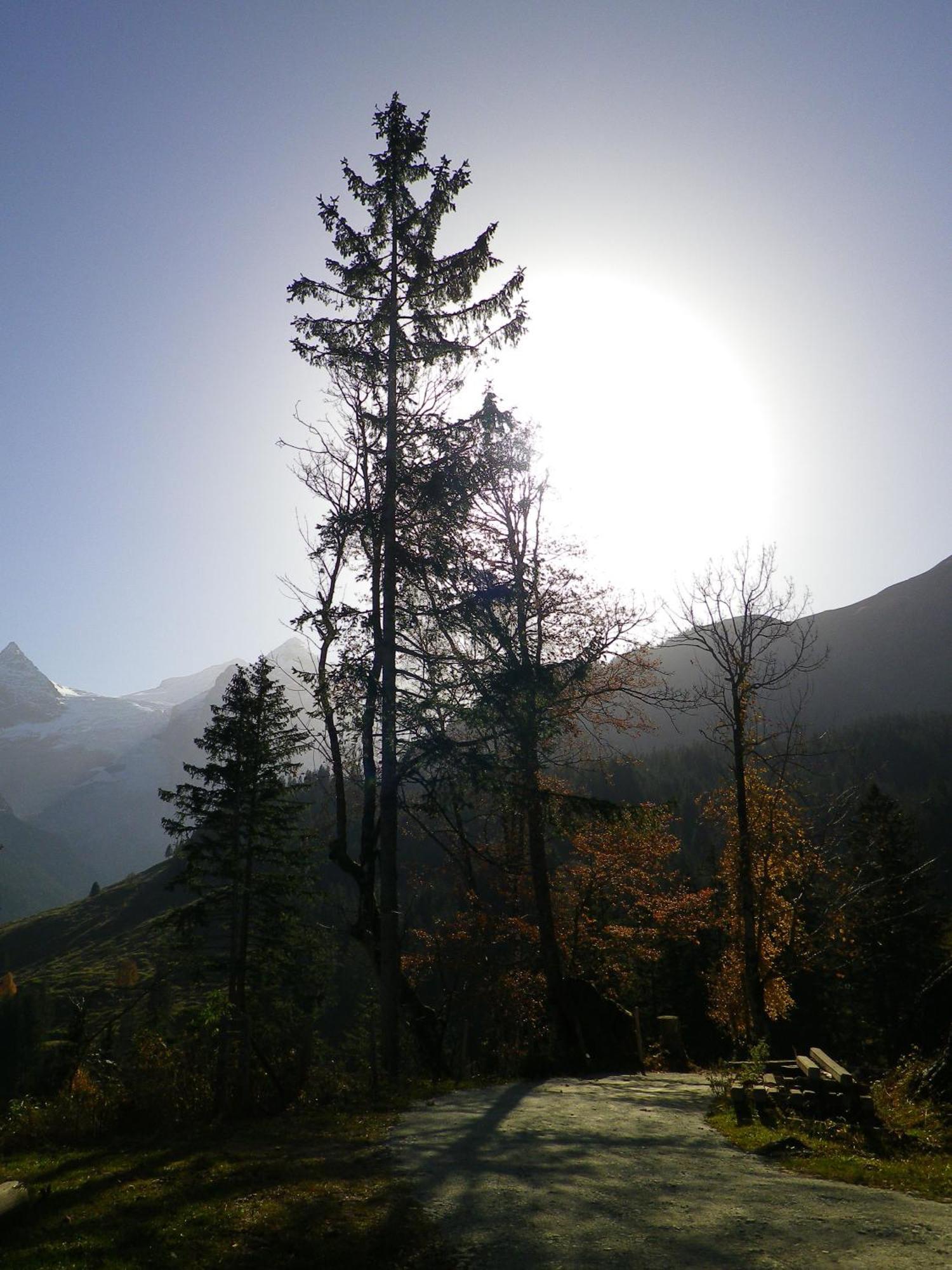 Alpenlodge Willigen Esterno foto