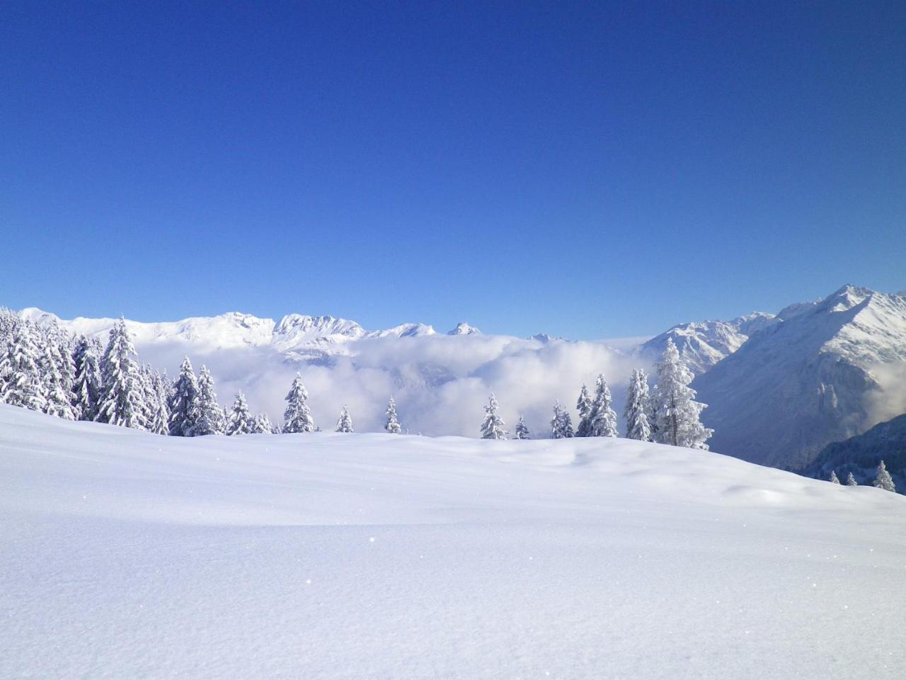 Alpenlodge Willigen Esterno foto