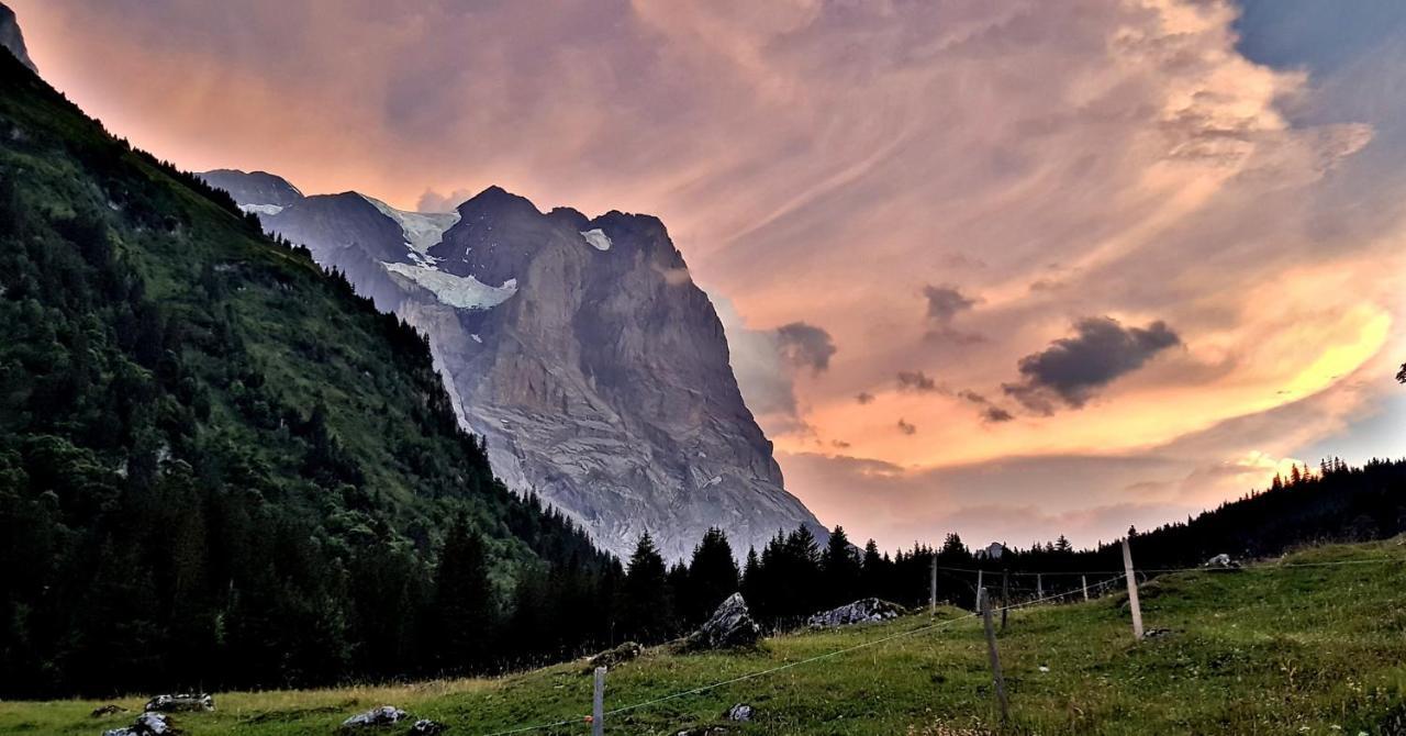 Alpenlodge Willigen Esterno foto