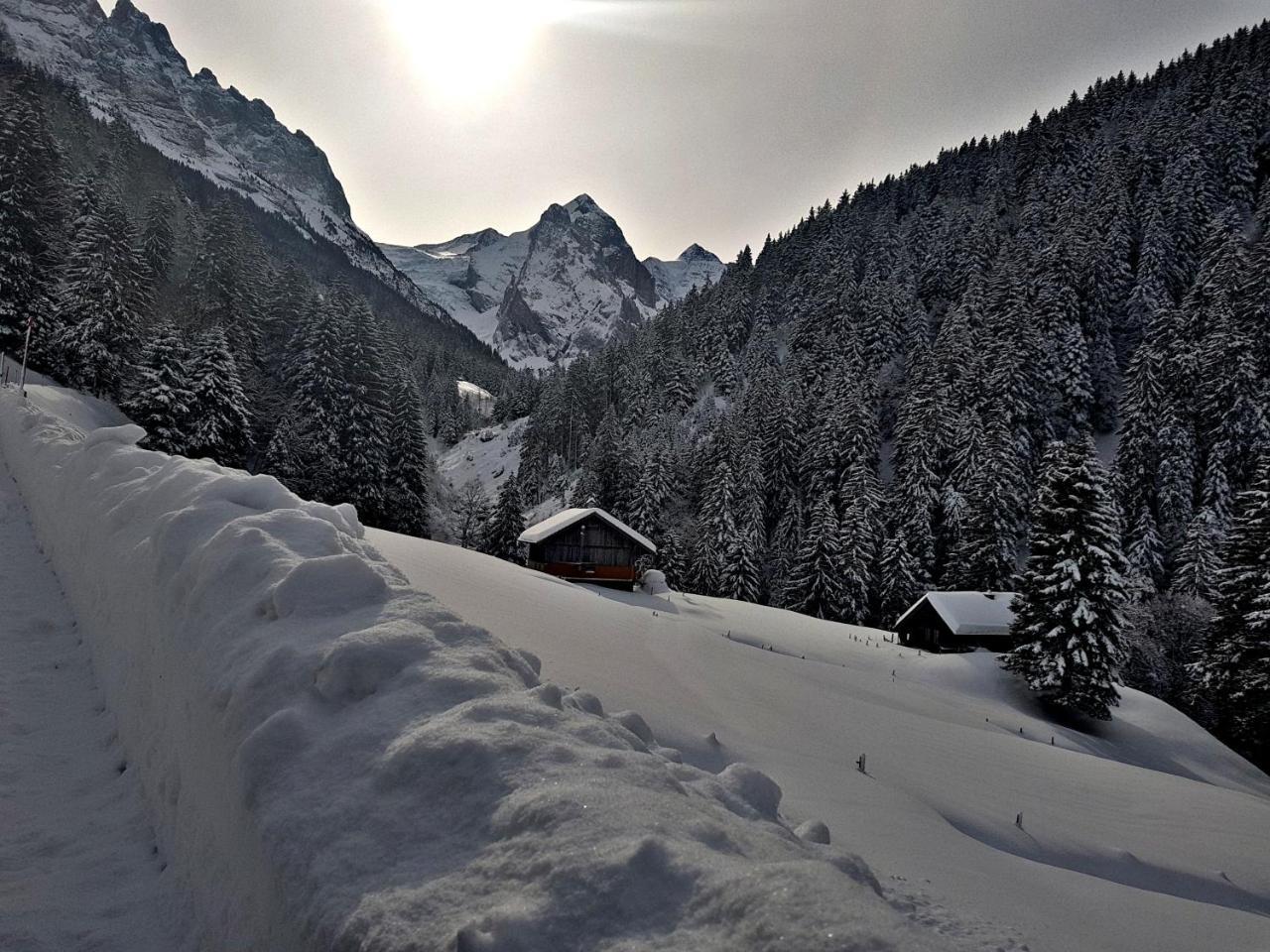 Alpenlodge Willigen Esterno foto