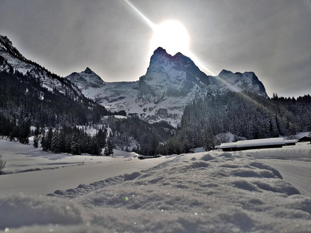 Alpenlodge Willigen Esterno foto