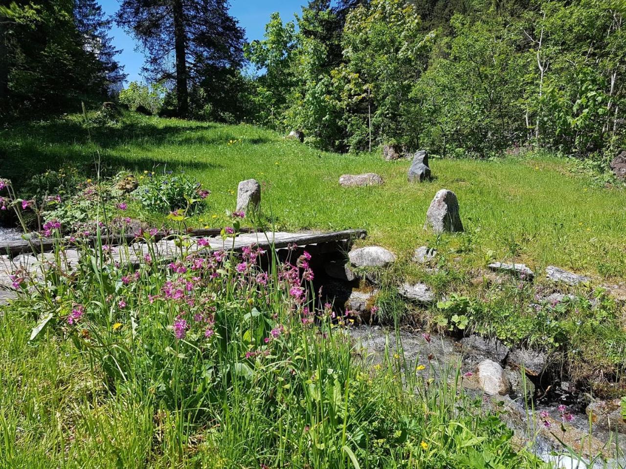 Alpenlodge Willigen Esterno foto