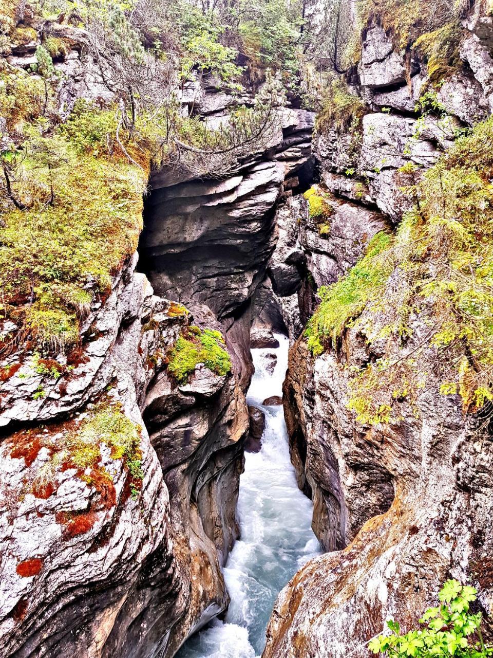 Alpenlodge Willigen Esterno foto
