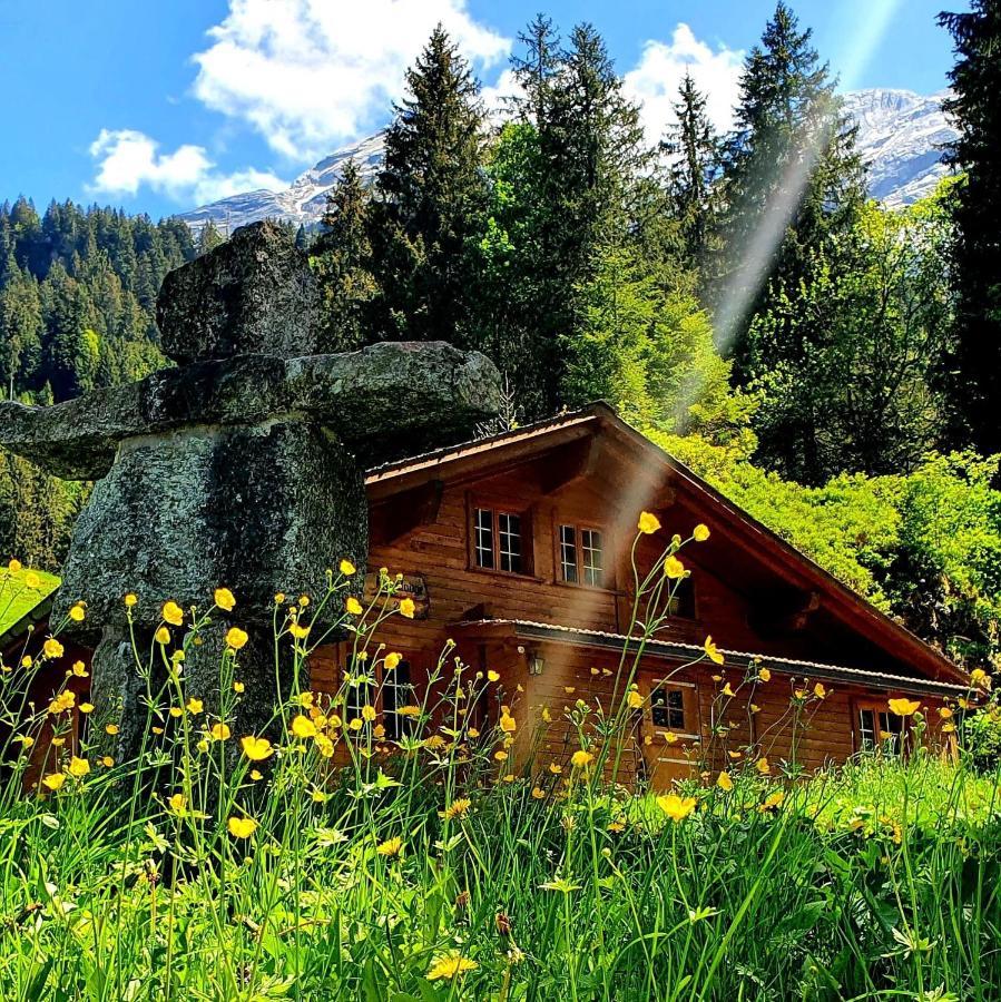 Alpenlodge Willigen Esterno foto